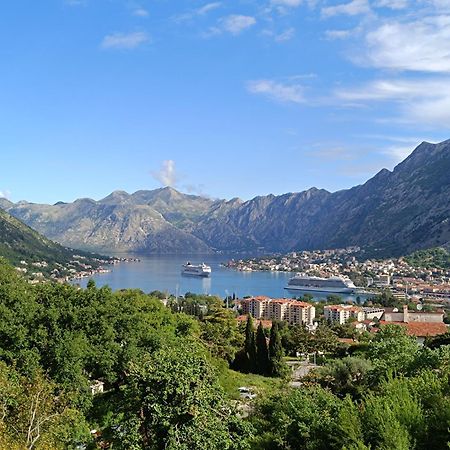 Radgost Kotor Apartments Eksteriør billede