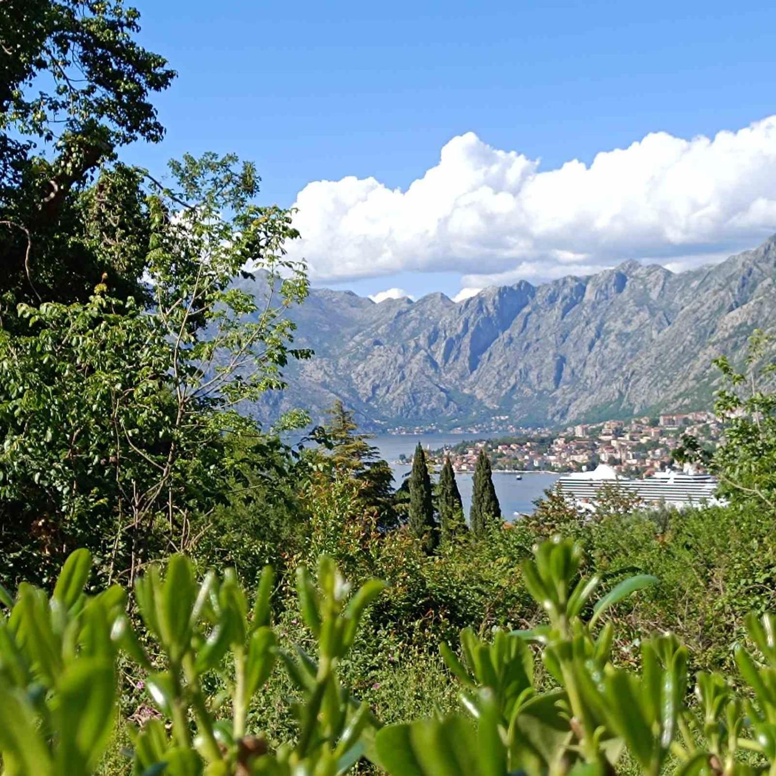 Radgost Kotor Apartments Eksteriør billede