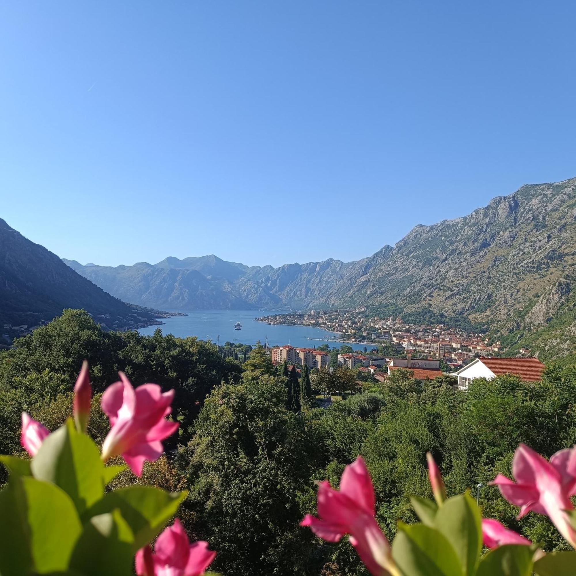 Radgost Kotor Apartments Eksteriør billede